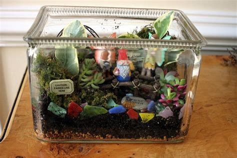 Tabletop Terrariums The Perfect Indoor Gardens