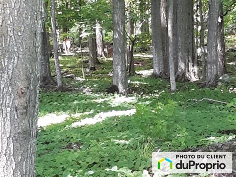 Terres agricoles à vendre Québec