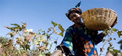 Fairtrade Farmers and Workers - Fairtrade