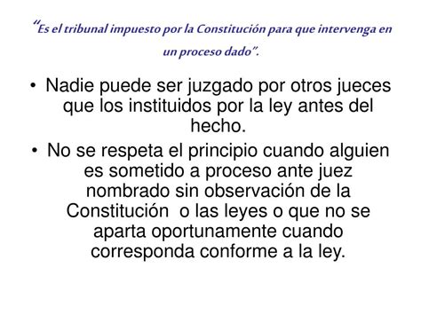 Ppt Principios Y Garantias Constitucionales Powerpoint Presentation