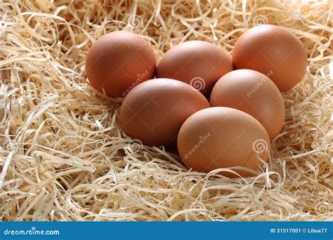 Oeufs De Brown Entiers En Paille Image Stock Image Du Laiterie Matin