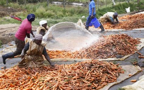 Women And Youth Urged To Set Eyes On Agribusiness FarmKenya Initiative