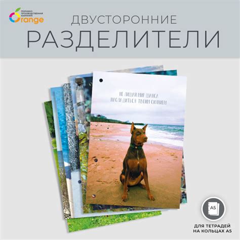 Разделитель страниц А5 для тетради на кольцах Доберманы - купить с ...