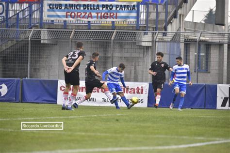 Serie C Pro Patria Grosseto Varesenews Foto