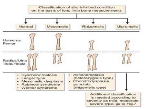 Skeletal Dysplasia made easy