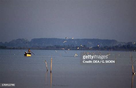 Etang De Vaccares Photos And Premium High Res Pictures Getty Images