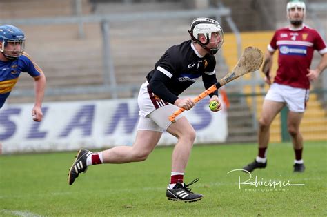 Hurling Team Of The Year Goalkeepers The Sideline Eye