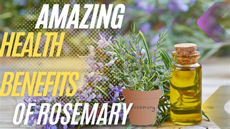 The Amazing Health Benefits Of Rosemary Using Rosemary For Health And