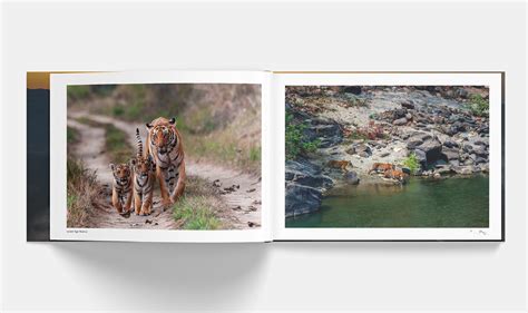 corbett behance