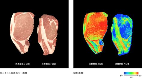 食品・農業におけるハイパースペクトルカメラの活用事例 エバ・ジャパン