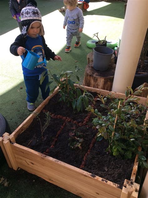 The Seamist Studios Bush Tucker Garden Aurora Early Education