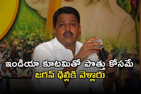 ఇండియా కూటమితో పొత్తు కోసమే జగన్ ఢిల్లీకి వెళ్లారు మంత్రి పయ్యావుల