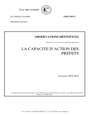 Remplissable En Ligne Observations Dfinitives La Capacit D Action Des