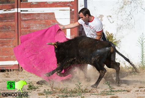 X Toros Capea En La Plaza De Toros De Pastrana