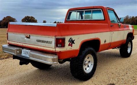 Great Graphics 1978 Chevrolet Silverado Barn Finds