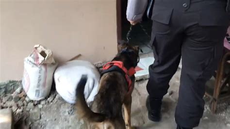 Polisi Terjunkan Anjing Pelacak Cari Korban Lain Di Rumah Kakek DS