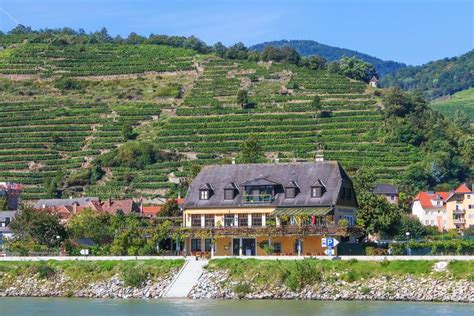 Cruising through the Wachau Valley on a Danube River Cruise | Danube ...