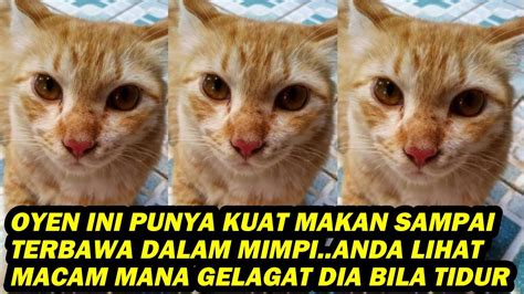 OYEN PUNYA KUAT MAKAN SAMPAI TERBAWA DALAM MIMPI LIHAT MACAM MANA