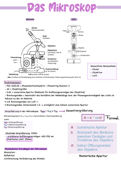 Praxis Kurstag 2 Zellbiologie Das Mikroskop Funktionsweise Ph2 40 0