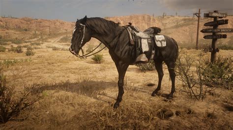 Top 5 Rdo Best Horses For Bounties And How To Get Them Gamers Decide