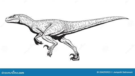 Running Velociraptor Drawing Line Art Raptor Dinosaurs Coloring Page