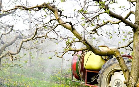 Premium Photo Spraying Apple Orchard In Spring