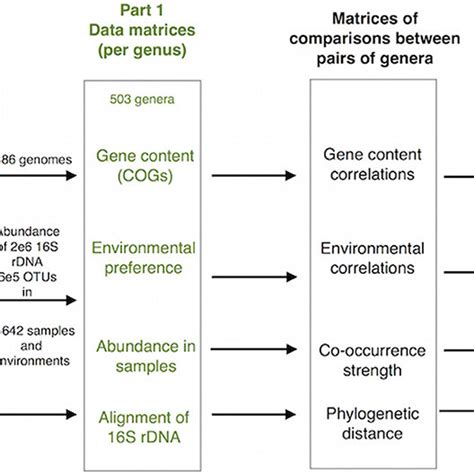 Three Dimensional Representation Of Genomic Environmental And