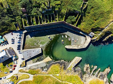 The shocking escape story from annas zoo pembrokeshire years ago 5
