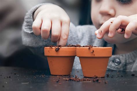 Kids Planting Seeds