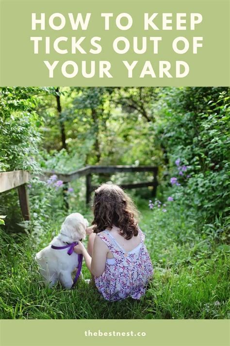 How To Keep Ticks Out Of Your Yard Naturally