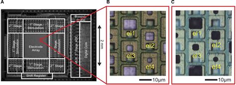 Frontiers Optimal Electrode Size For Multi Scale Extracellular