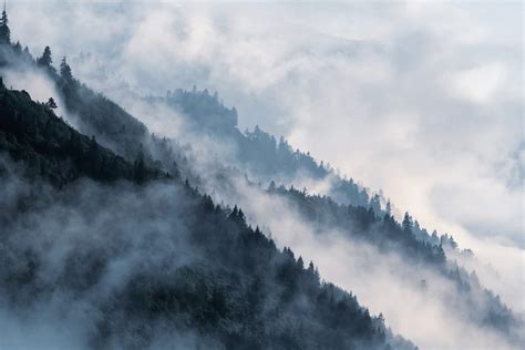 High Contrast Mountain Forest Cloud Landscape Wall Mural Black Forest