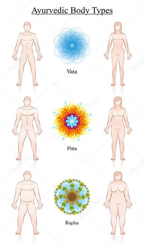 Ayurveda Constituci N Del Cuerpo Tipos S Mbolos Vata Pitta Kapha Pareja