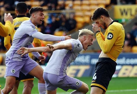 Wolves X Brighton Minuto A Minuto - Wolves vs Brighton por la fecha 7 de Premier League EN VIVO. Seguilo ...