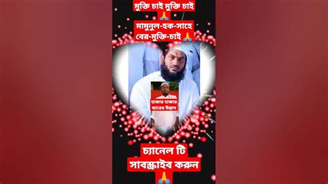 শাইখুলহাদিসআল্লামা মামুনুল হকসাহেবেরমুক্তি চাই 🙏🙏islamicshort