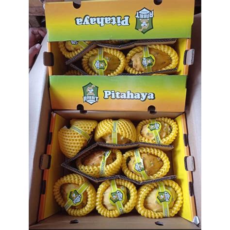 Jual Buah Naga Kuning Yellow Pithaya Kg Shopee Indonesia