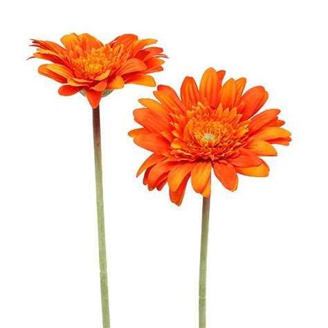 Floristik24 ch Deko Gerbera Orange Ø10cm L53cm 6St 85778