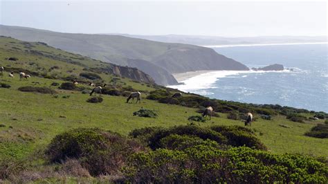 Map shows nearly every single hiking trail in California - Curbed SF