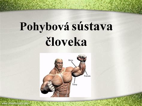 Pohybov S Stava Loveka Ppt St Hnout