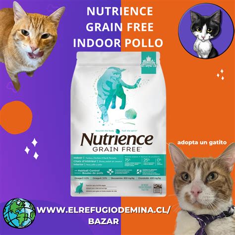 Nutrience Grain Free Indoor Pollo 5 Kg