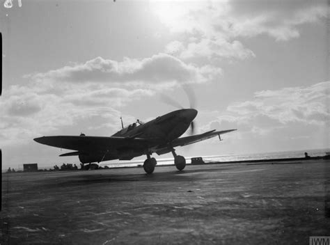 Asisbiz Fleet Air Arm Seafire Taking Off From HMS Illustrious IWM A14859