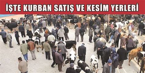 İŞTE KURBAN SATIŞ VE KESİM YERLERİ Kahramanmaraş Haber