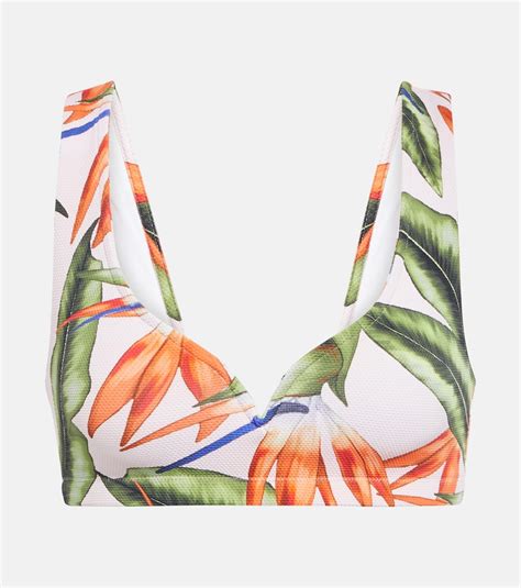 Alexandra Miro Bedrucktes Bikini Oberteil Kamala In Bird Of Paradise