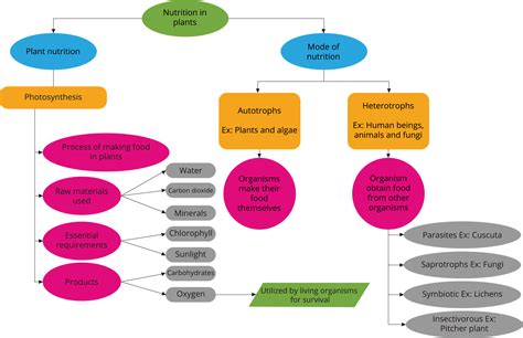 Mindmap Lesson Science Cbse Class