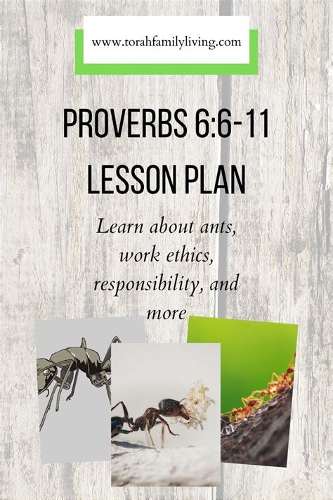 Proverbs 6:6-11 lesson plan