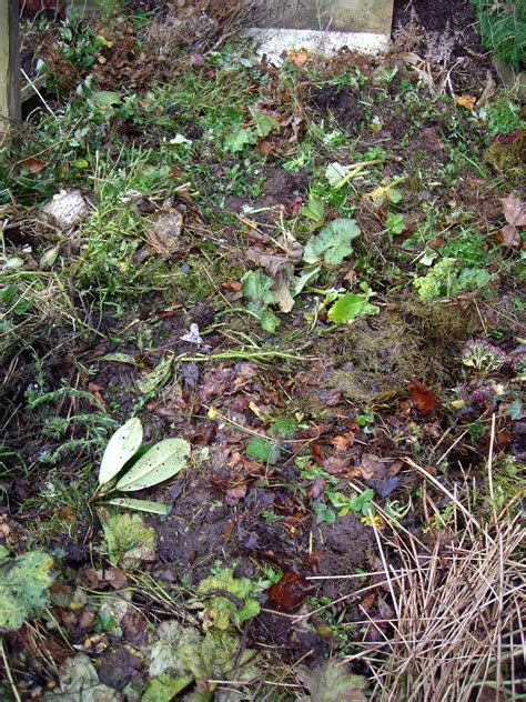 How to Make a Compost Heap: Recycling your Grass Cuttings and Much More ...