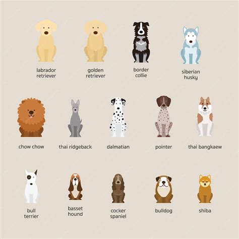 Medium Dogs