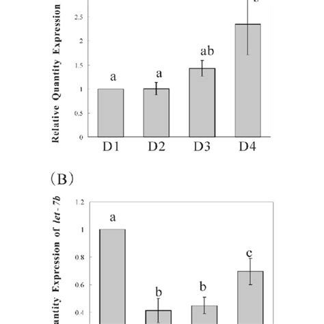 Analysis Of The Expression Of Let 7b In Mouse Endometrial Epithelial