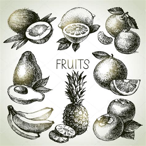 Hand Drawn Sketch Fruits Set Stock Vector Pimonova