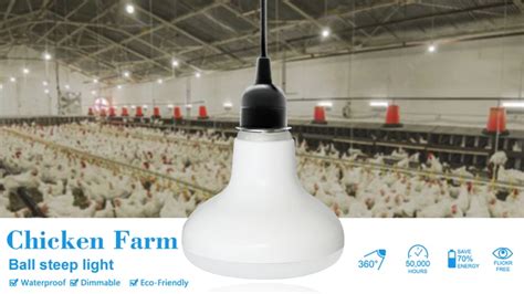 Waterproof Poultry Farm Led Lighting Poultry House Led Lighting Chicken